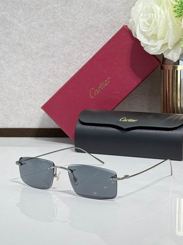 Cartier Glasses smr310
